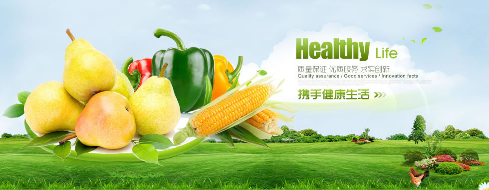 陕西南城久伴网络服务有限公司